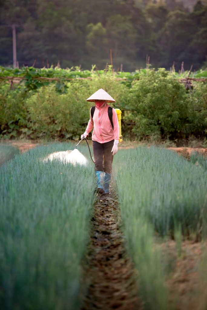 A farmer using a sprayer on a farm with greenery, wearing a traditional conical hat.
